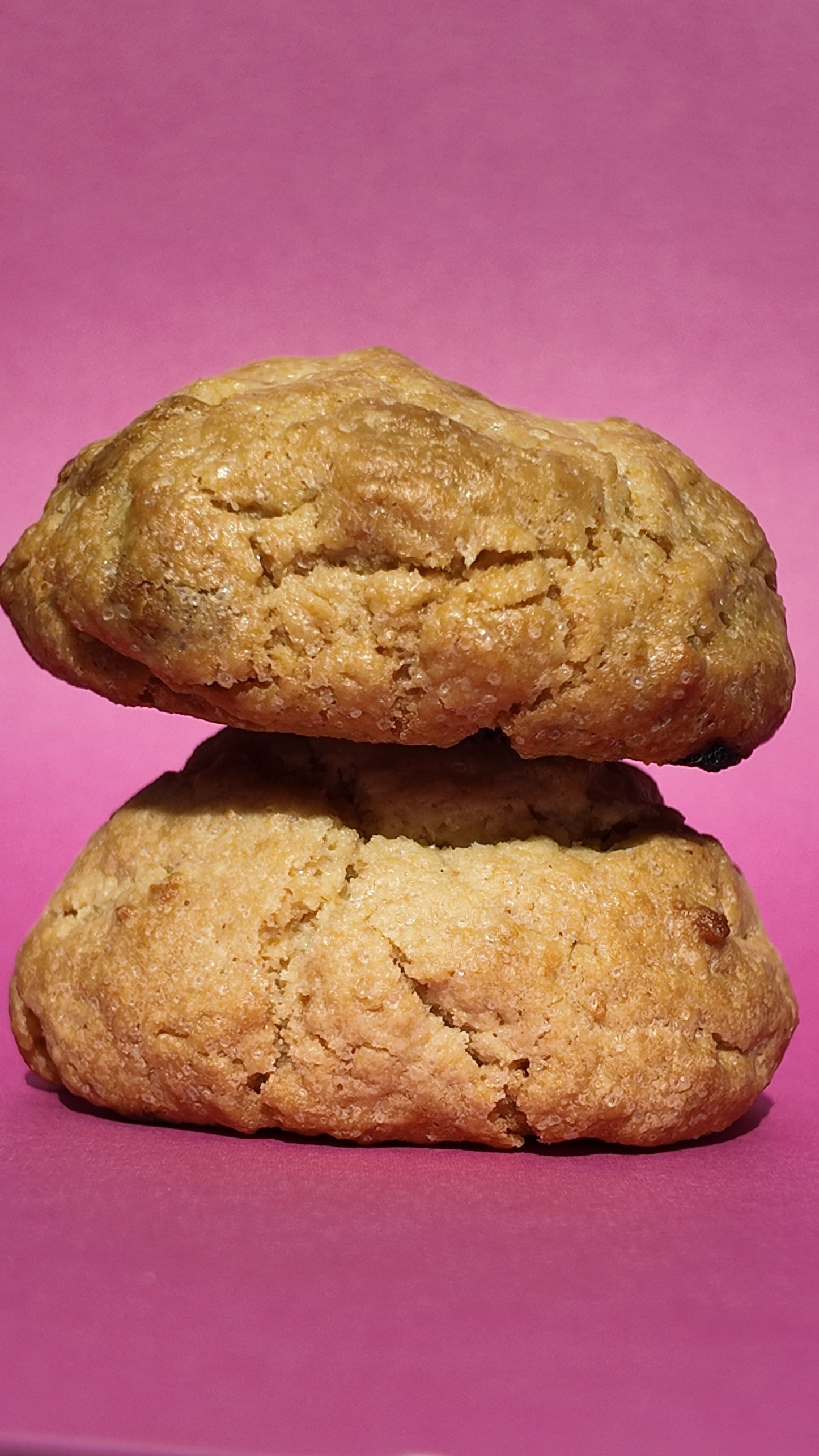 Speculoos